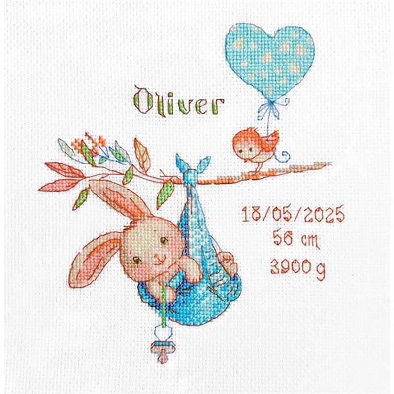 Boy Birth Sampler Cross Stitch Kit By Aine