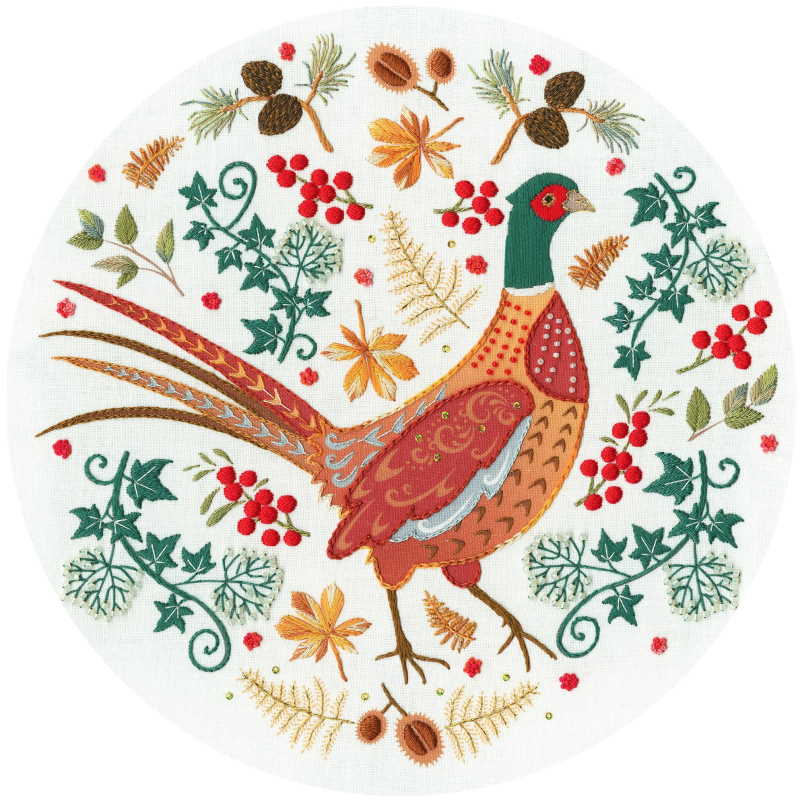 Folk Pheasant Embroidery Kit By Bothy Threads