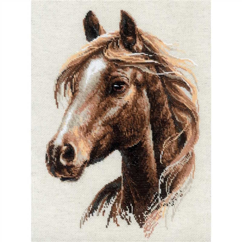 Proud Spirit Cross Stitch Kit By RIOLIS