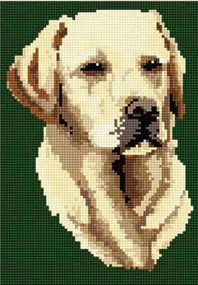 Labrador Tapestry Kit by Brigantia Needlework