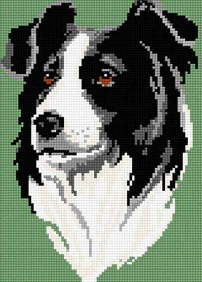 Border Collie Tapestry Kit by Brigantia Needlework