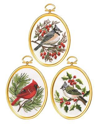 Winter Birds Embroidery Kit by Janlynn