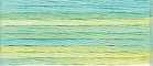 DMC Colour Variations Stranded Cotton - 4060