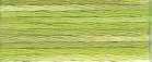 DMC Colour Variations Stranded Cotton - 4070