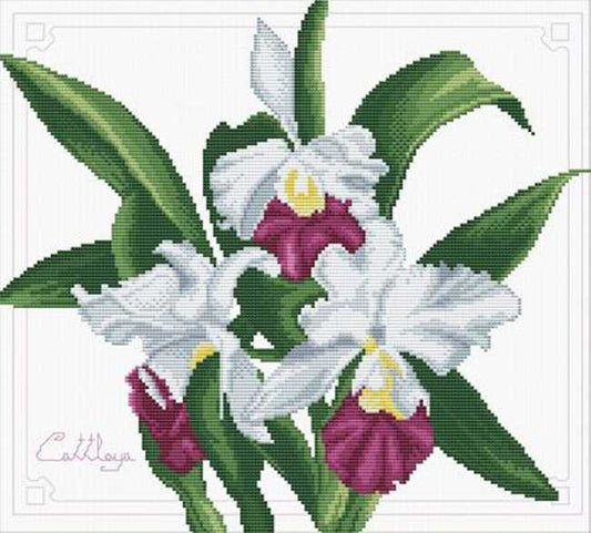 Bouquet of Orchids Printed Cross Stitch Kit by Needleart World