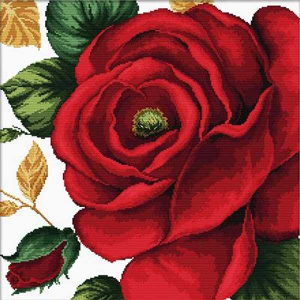 Rose Printed Cross Stitch Kit by Needleart World