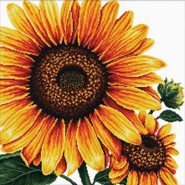 Sunflower Printed Cross Stitch Kit by Needleart World