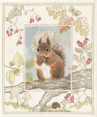 Red Squirrel Cross Stitch Kit by Derwentwater Designs