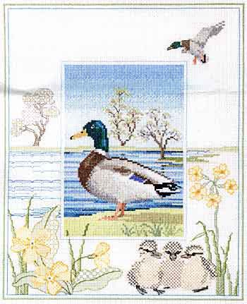 Mallard Cross Stitch Kit by Derwentwater Designs