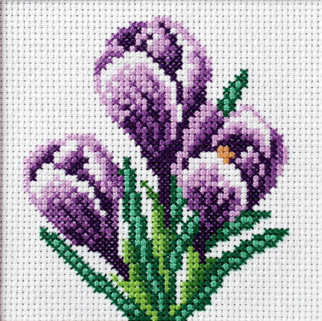 Crocus Printed Cross Stitch Kit by Orchidea