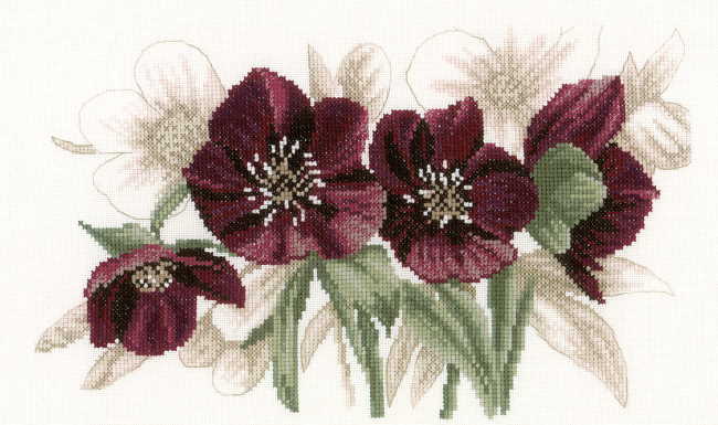 Hellebores Cross Stitch Kit By Lanarte