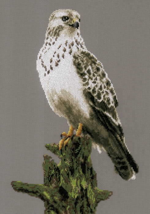 Falcon Cross Stitch Kit By Lanarte