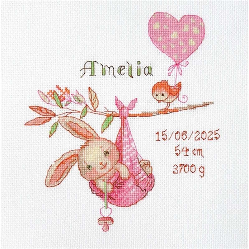 Girl Birth Sampler Cross Stitch Kit By Aine