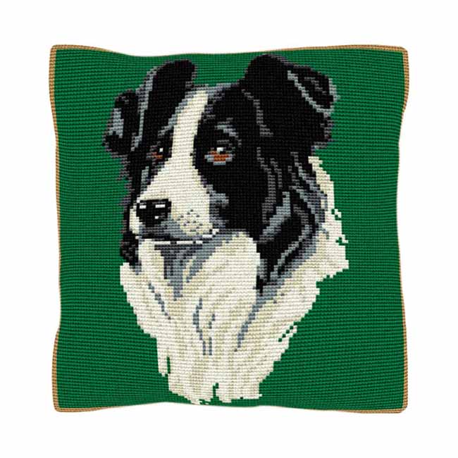 Border Collie Printed Cross Stitch Kit by Brigantia Needlework 