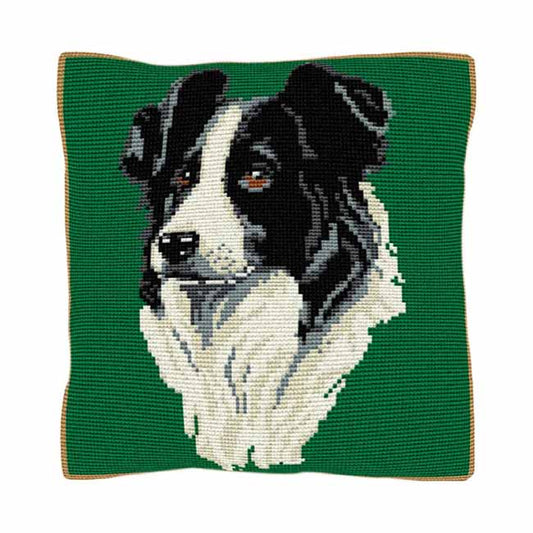 Border Collie Printed Cross Stitch Kit by Brigantia Needlework 
