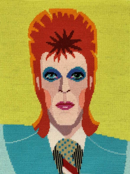 David Bowie Tapestry Kit by Appletons