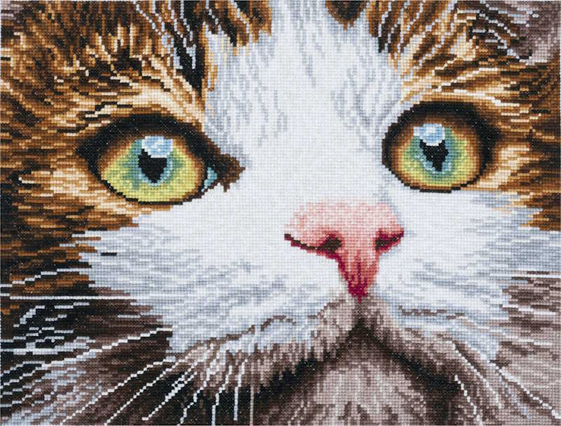 Whiskers Cross Stitch Kit By Trimits