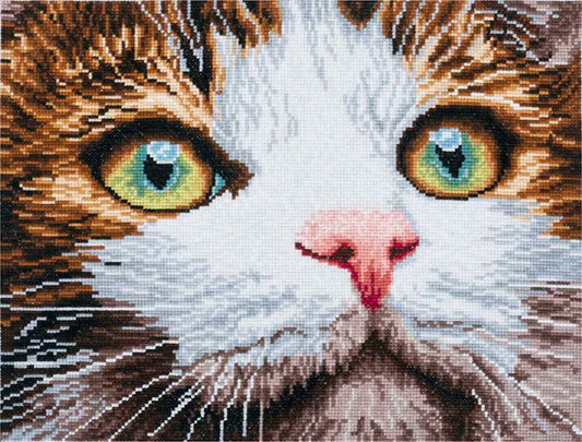 Whiskers Cross Stitch Kit By Trimits