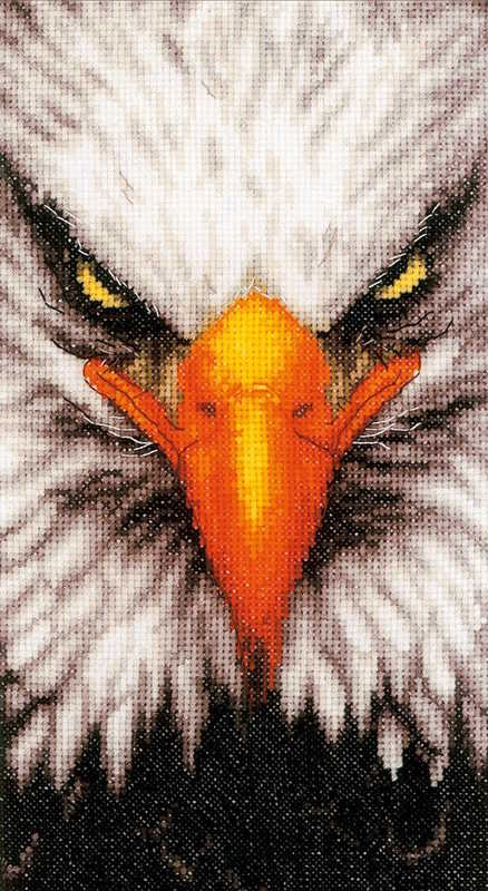 Close Up Eagle Cross Stitch Kit By Lanarte