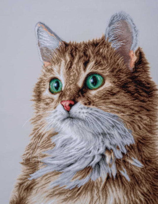 The Purrfect Stare Cross Stitch Kit By Lanarte