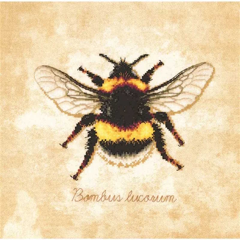 Bombus Lucorum Cross Stitch Kit By Lanarte