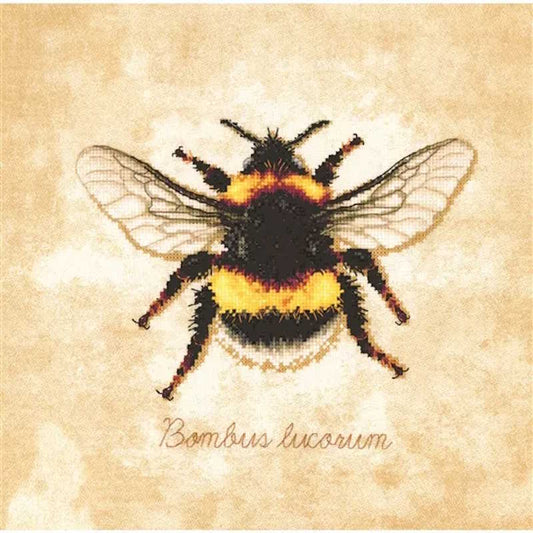 Bombus Lucorum Cross Stitch Kit By Lanarte