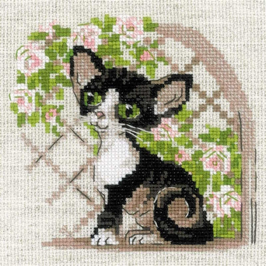 Cornish Rex Kitten Cross Stitch Kit By RIOLIS