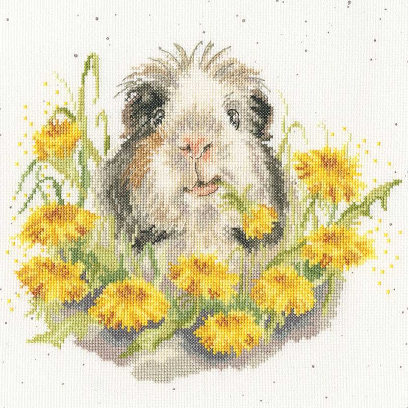 A Dandy Day Cross Stitch Kit By Bothy Threads