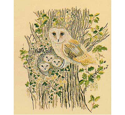 Barn Owls Embroidery Kit by Design Perfection