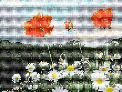 Poppies and Daisies Cross Stitch Chart by September Cottage Crafts
