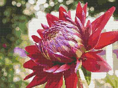 Red Flower Cross Stitch Chart by September Cottage Crafts
