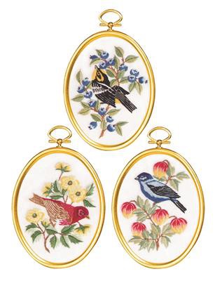 Feathers and Flora Embroidery Kit by Janlynn