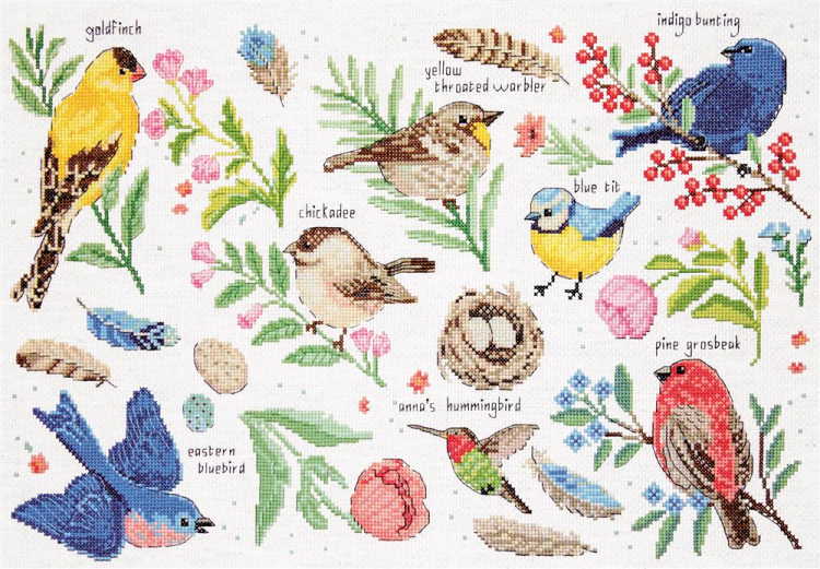 Bird Study Cross Stitch Kit by Design Works