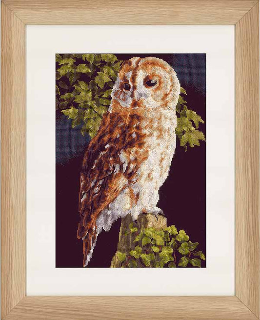 Owl Cross Stitch Kit By Lanarte