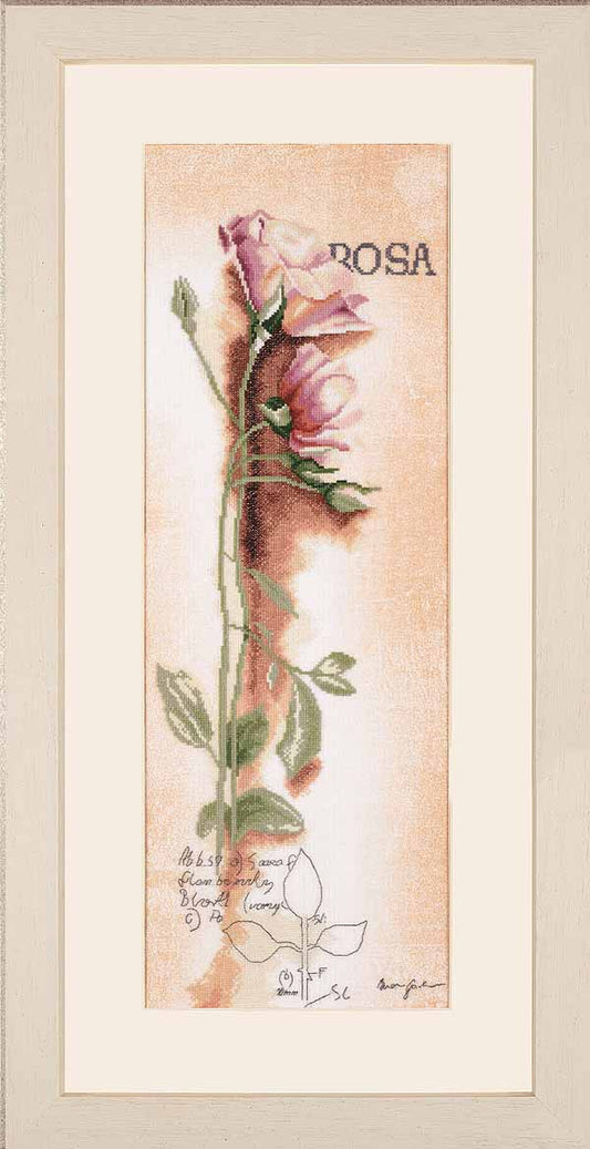 Botanical Rose Cross Stitch Kit By Lanarte