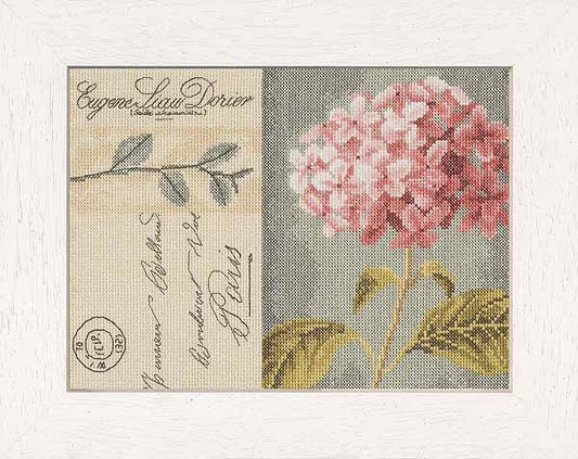 Hydrangea Cross Stitch Kit By Lanarte