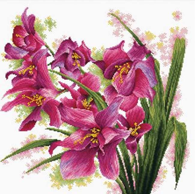 Lovely Orchids Printed Cross Stitch Kit by Needleart World