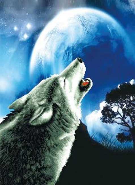 Howling Wolf Printed Cross Stitch Kit by Needleart World