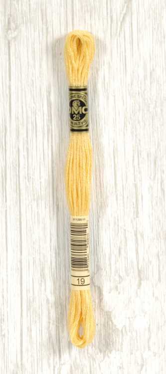 DMC Stranded Cotton - 19