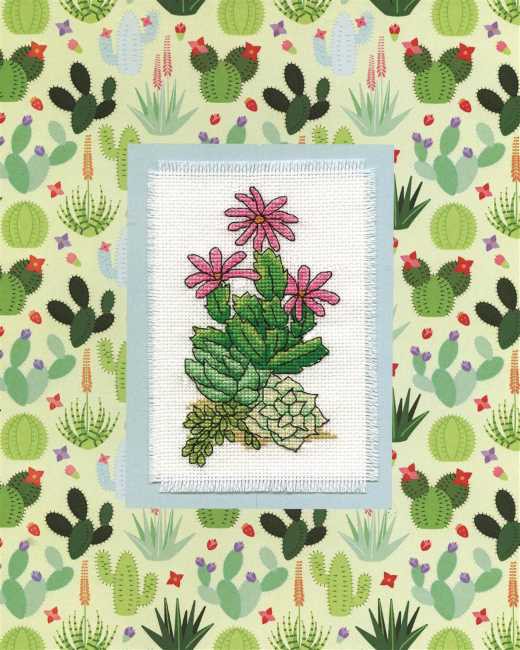Cactus Cross Stitch Kit by Design Works