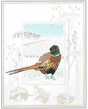 Pheasant Cross Stitch Kit by Derwentwater Designs