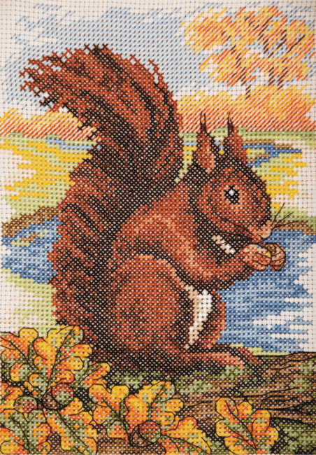 Red Squirrel Cross Stitch Kit By Anchor