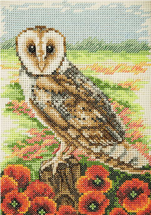 Owl Cross Stitch Kit By Anchor