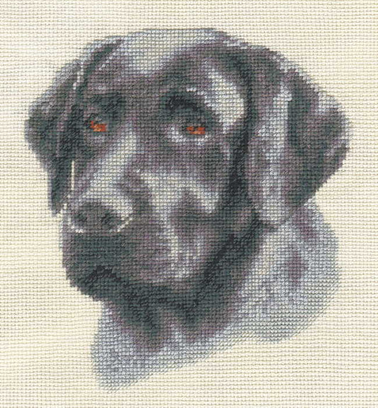 Black Labrador Cross Stitch Kit by PANNA
