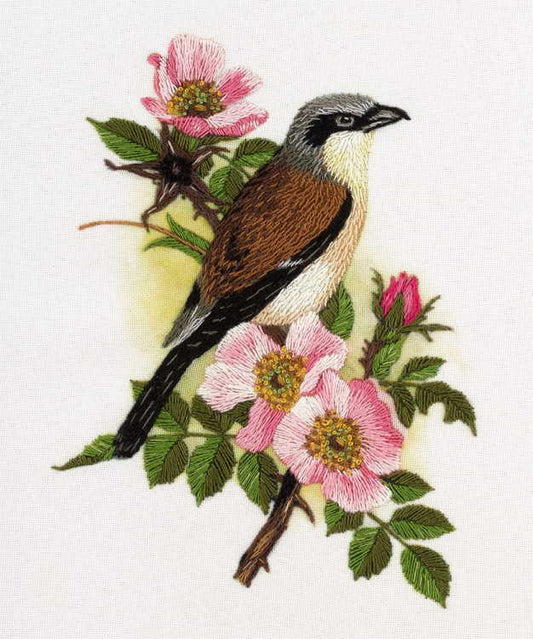 Red Backed Shrike Embroidery Kit by PANNA