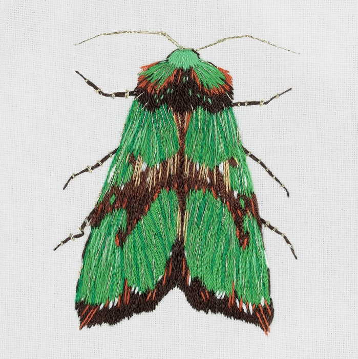 Green Moth Embroidery Kit by PANNA