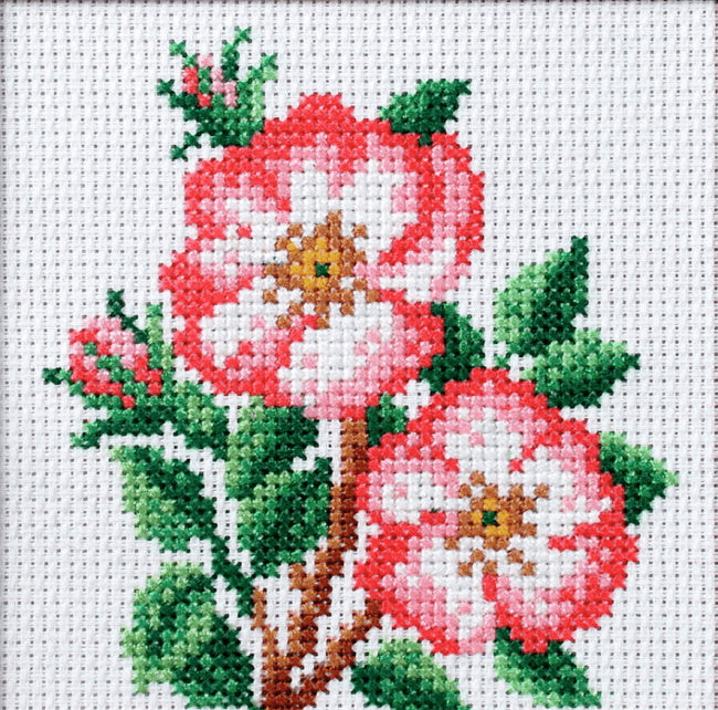 Dog Rose Printed Cross Stitch Kit by Orchidea