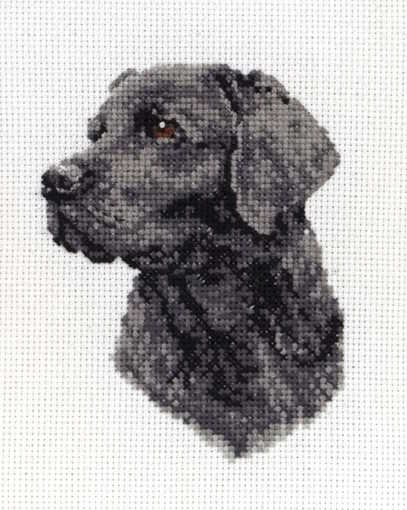 Black Labrador Cross Stitch Kit By Anchor