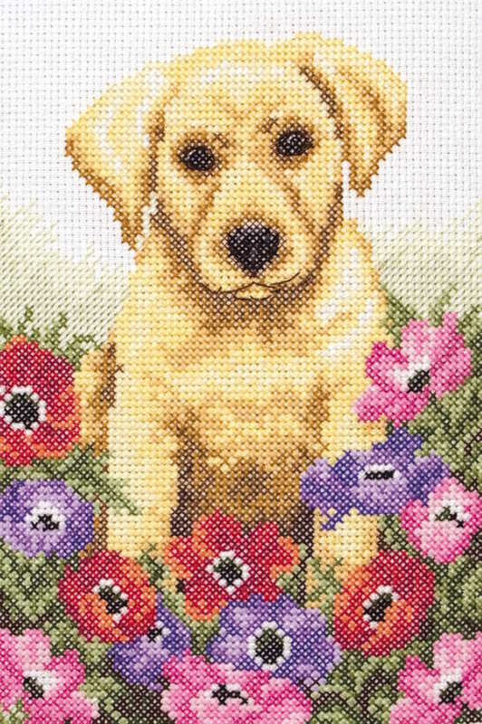 Puppy Cross Stitch Kit By Anchor