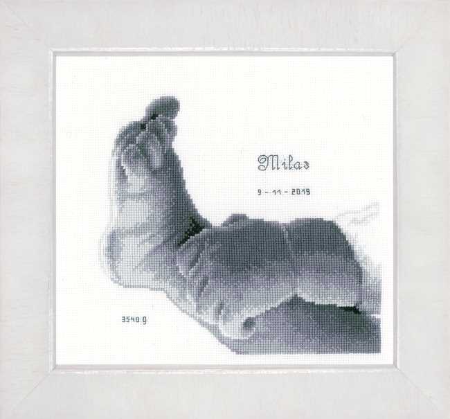 Little Baby Foot Birth Sampler Cross Stitch Kit By Vervaco